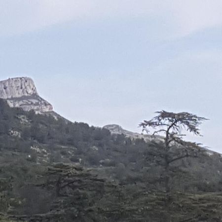Charmant Appartement Neuf Le Taoume Marseille Bagian luar foto