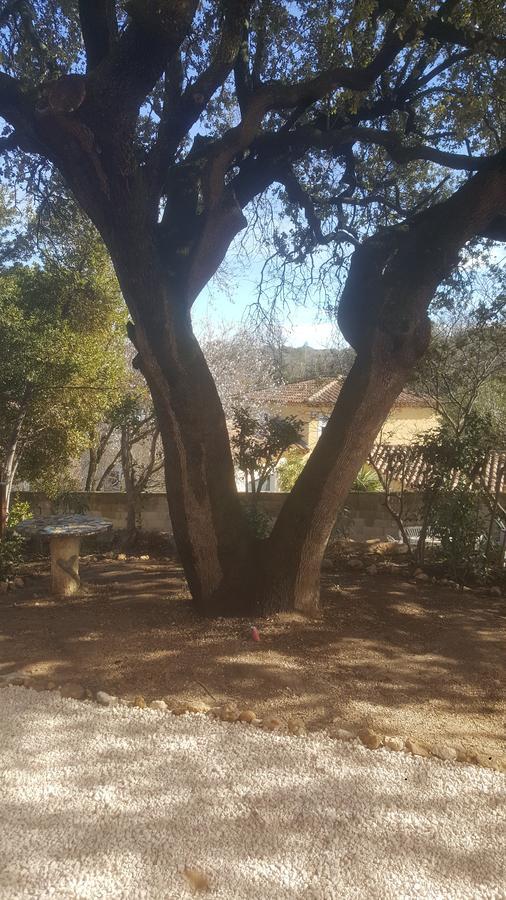 Charmant Appartement Neuf Le Taoume Marseille Bagian luar foto