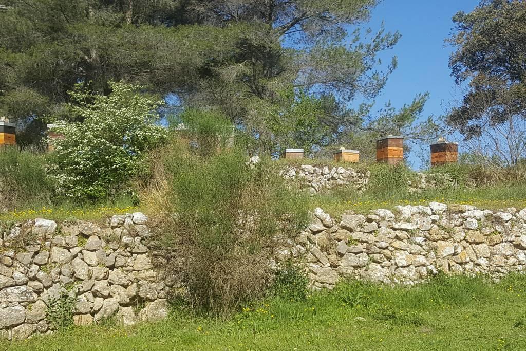 Charmant Appartement Neuf Le Taoume Marseille Bagian luar foto