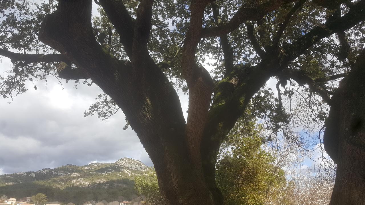 Charmant Appartement Neuf Le Taoume Marseille Bagian luar foto